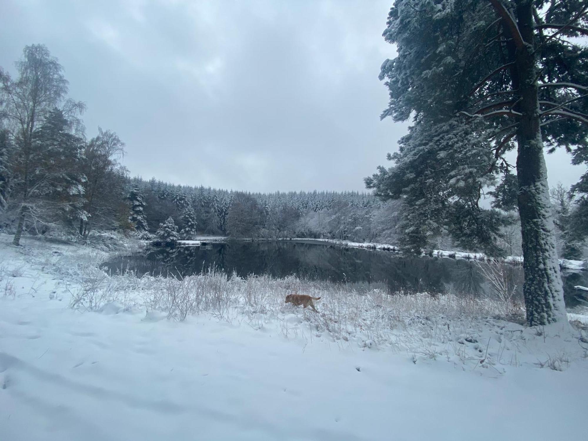 Morvan La Pastourelle Quarré-les-Tombes Esterno foto