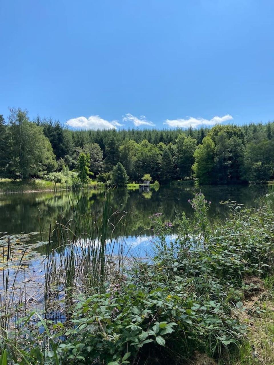 Morvan La Pastourelle Quarré-les-Tombes Esterno foto